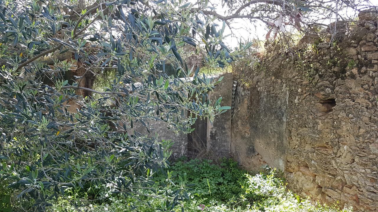 Villa Seabreeze Minia Exterior foto
